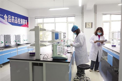 聚英才 展絕活 創(chuàng)未來(lái) 信息技術(shù)咨詢(xún)服務(wù)的時(shí)代價(jià)值